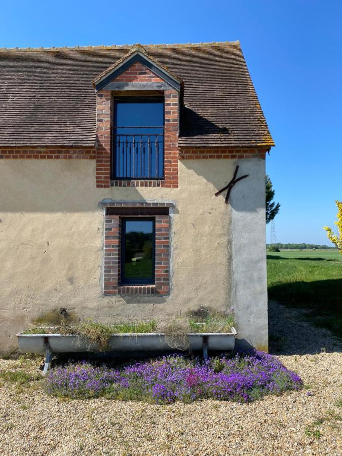 La Muzardiere Aux Gites De Cormenin Saint-Hilaire-sur-Puiseaux Exterior foto